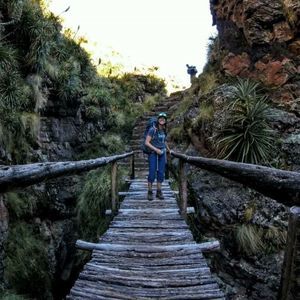 Meet your Posher, Abigale